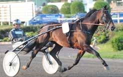 Hr vunnit Breeders Crown oh Europderby under krriären men skrällsegern senst vr fktiskt det först besöket i vinnrirkeln på två oh ett hlvt år.
