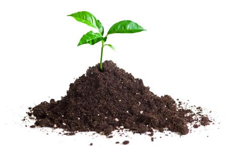 Ta vara på den värdefulla kompostjorden Kompost är ett naturligt jordförbättringsmedel av högsta kvalitet. Den är full av näring och kan användas till trädgårdsodling, fruktträd och bärbuskar.