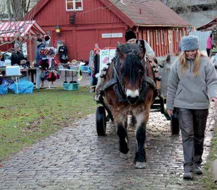 Så här önskar vi att de präglar vårt gemensamma arbetssätt: Genom att visa Kraft och vara drivande, idéskapande och engagerade blir vi trovärdiga gentemot vår omvärld.