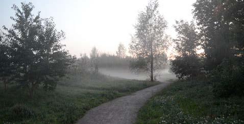 B5: Naturlik plantering i Munksundet, Enköping. B6: Filborna Skogspark i Helsingborg. 18 Foto: Bildarkiv Parkkontoret Enköpings kommun Foto: www.helsingborg.