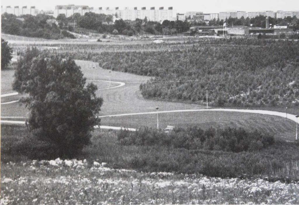 De grönytor som uppkom under 1960 och -70 talen var till största del stora gräsmattor som inte uppfyller de boendes krav, hävdade Persson.