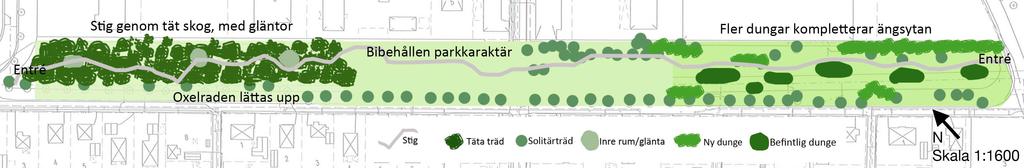 Förslag till utveckling (Långgatuparken) F22: Illustrationsplan för Långgatuparken. Karta bearbetad av Eleonor Martinsson. Grundar sig på karta från Örebro kommun.