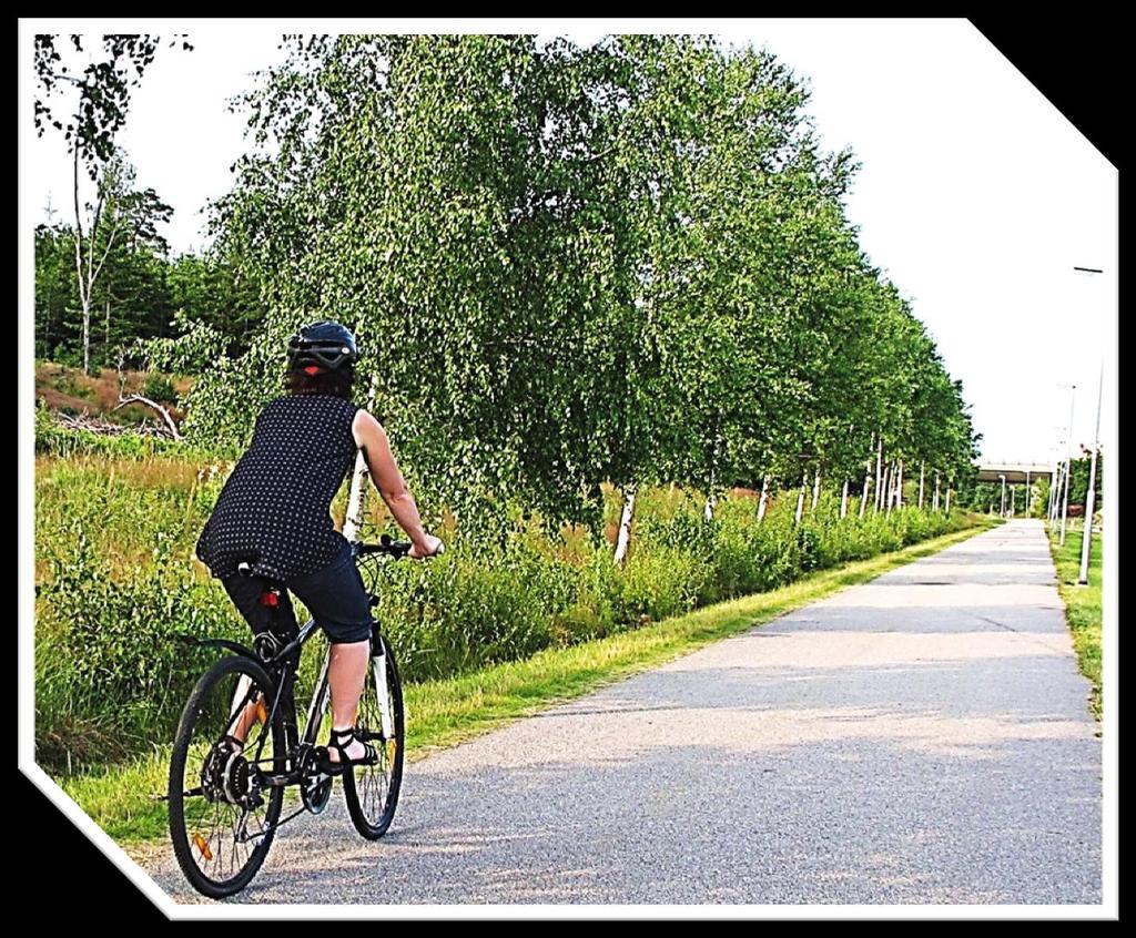 Cykelplan för samordnad satsning för ökat cyklande i Uddevalla kommun För ett