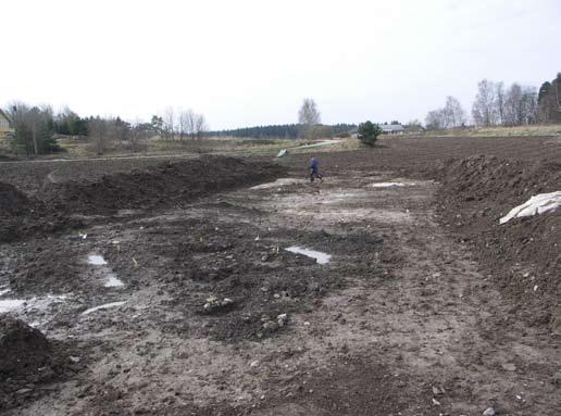 En liten bit av Ektorps och Torps förhistoria 19 Fig 10. Del av härdområdet som påträffades i sydsluttningen vid RAÄ 25. Från norr. Foto Johan Stenvall.
