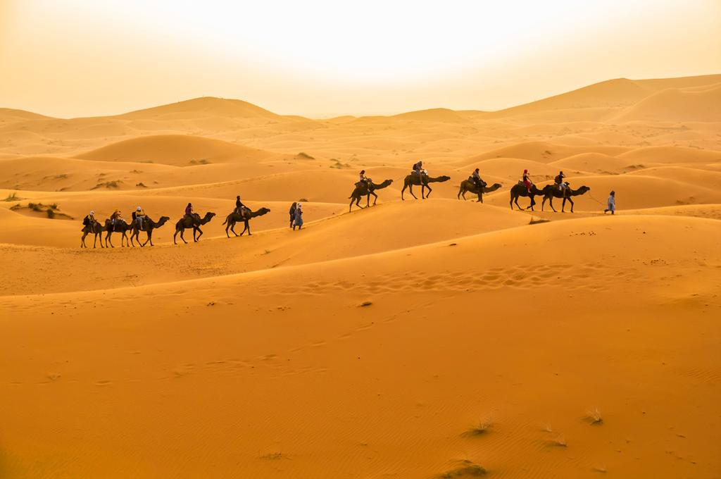 Vi fortsät- Agadir. Vi checkar in för de tre avslutande nätterna och får ter till Tineghir som är ingången till Höga Atlasbergen. Från Ti- chans att smälta intrycken av underbara Marocko.