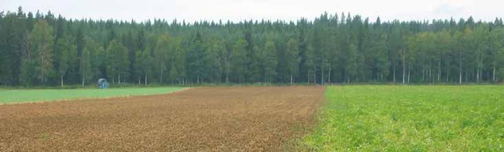 Produkter mot bladmögel & torrfläcksjuka i potatis För bekämpning av bladmögel; sidoeffekt på torrfläcksjuka Ett riktigt systemiskt medel som också har kontaktverkande egenskaper Skyddar även