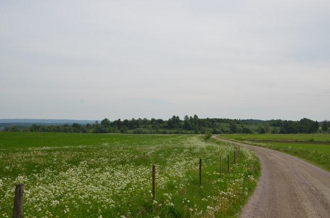 FALKÖPING Org.