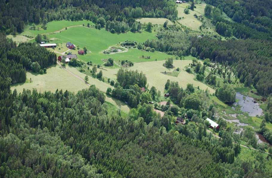 3 Landskapets ekologi Östra Vätterbranten blivande biosfärområde Östra Vätterbranten är det viktigaste skogsområdet. Det är en tydlig värdetrakt, det är stort och mycket mångformigt.