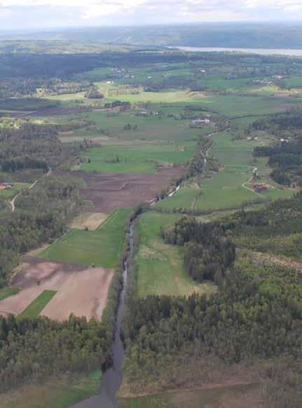 Dokumentlandskapet Fornlämningsbilden Rösen av bronsålderstyp är rikligt förekommande i krönlägen, liksom vid Mogden (Södra Vings s:n), stensättningar och gravfält är av järnålderstyp.