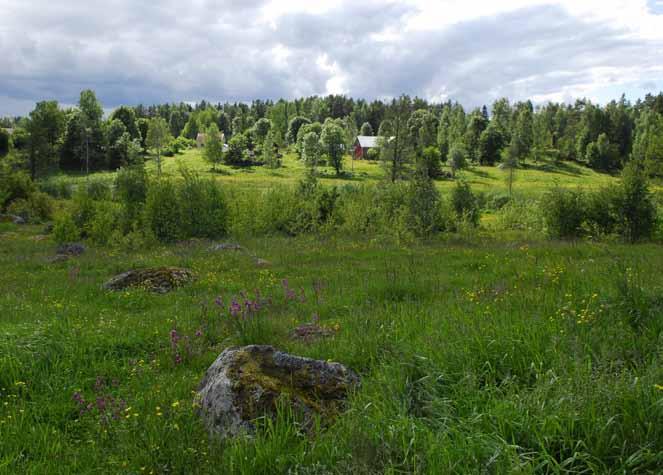 De relativa höjdskillnaderna är ofta mindre än 30 meter, men ökar i östra delen för att öster om Sommen bli över 50 meter i ett än mer sönderskuret landskap.