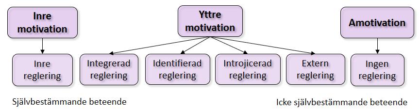 Figur 3: Sammanfattande figur av Self-Determination Theory SDT konstaterar att högre grad av självbestämmande beteende resulterar i mer positiva konsekvenser i form av exempelvis