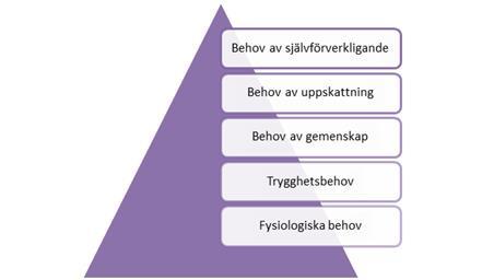 Figur 5: Maslows behovshierarki De fysiologiska behoven, såsom mättad hunger och törst, sömn, värme och tak över huvudet, är de mest grundläggande behoven för människans överlevnad (Hein, 2012, s.