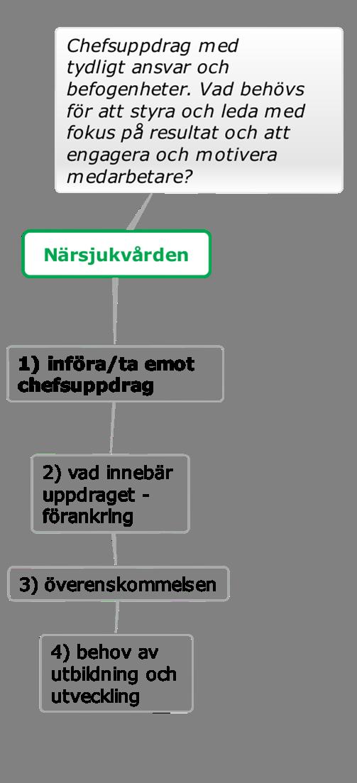 PLANERING AV PILOTER Utvecklat chefsuppdrag En av de långsiktiga effekterna av åtgärdsarbetet skulle vara att varje chef på alla nivåer ska kunna driva verksamheten affärsmässigt