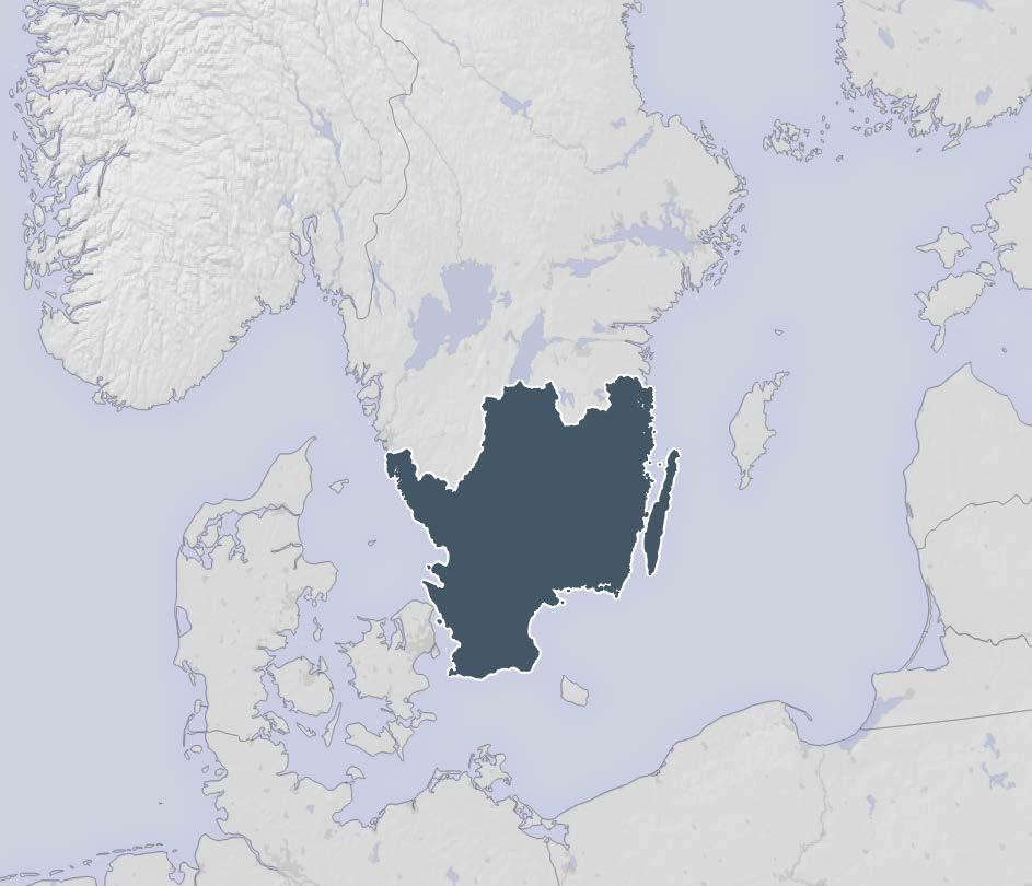 Bilaga 4 Förord Landstinget Blekinge, Region Blekinge, Region Halland, Region Jönköpings län, Landstinget i Kalmar län, Regionförbundet i Kalmar län, Region Kronoberg, Region Skåne och