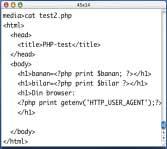 > <h1>banan=<?php print $HTTP_GET_VARS [ banan ];?></h1> <h1>bilar=<?php print $HTTP_GET_VARS [ bilar ];?></h1> <h1>din browser: <?php print getenv('http_user_agent');?