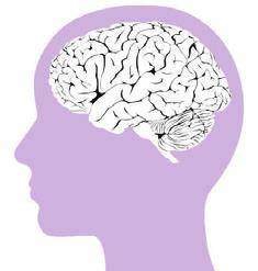 Hur fungerar metylfenidat? Metylfenidat orsakar huvudsakligen en ökning av dopaminhalten i hjärnan genom att hämma återtagningen av dopamin i de presynaptiska hjärncellerna.