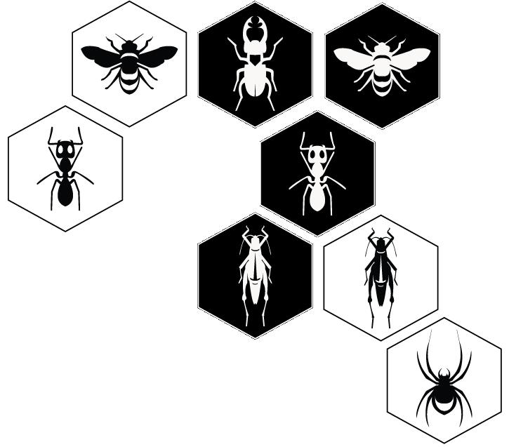 Vit myra kan ej skjutas in på den centrala positionen i figur 4b då vit drottning och vit spindel