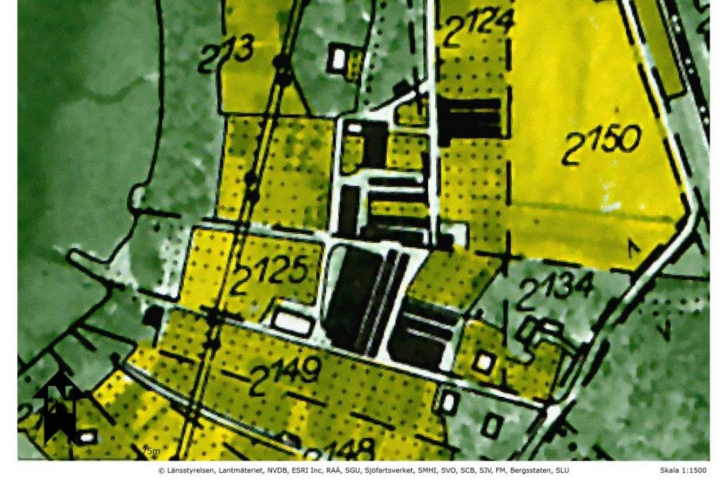 Undersökning Figur 4. Karaktäristiskt utseende på växthus på en ekonomisk karta från 1950-talet.