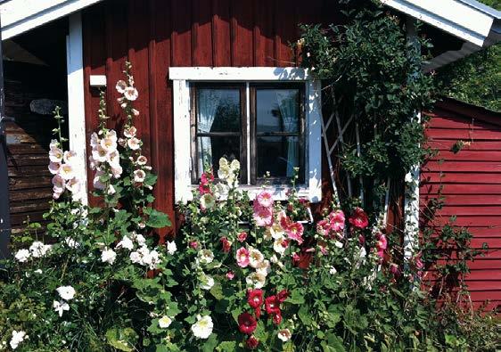 se Skoga Vård- och omsorgsboende, ligger i Huvudsta med en härlig utsikt över vattnet, vilket passar bra till profilen som är natur, trädgård och ute vistelse.