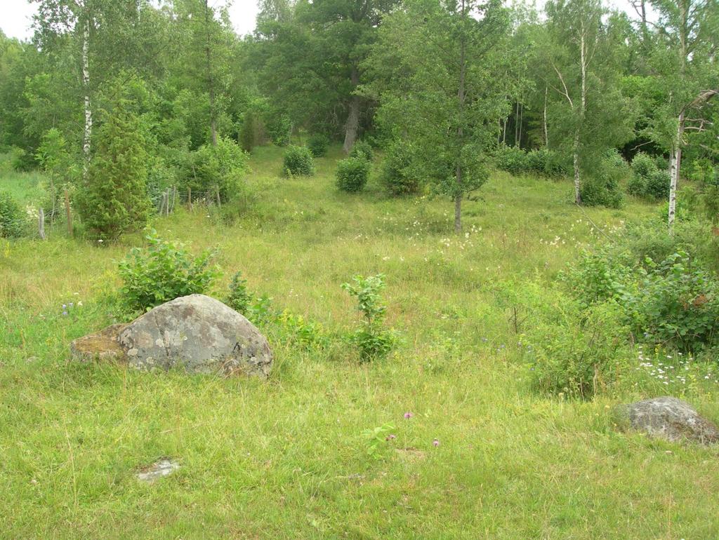 Det har betydelse för tillämpningen av regelverket om Natura 2000-områden.