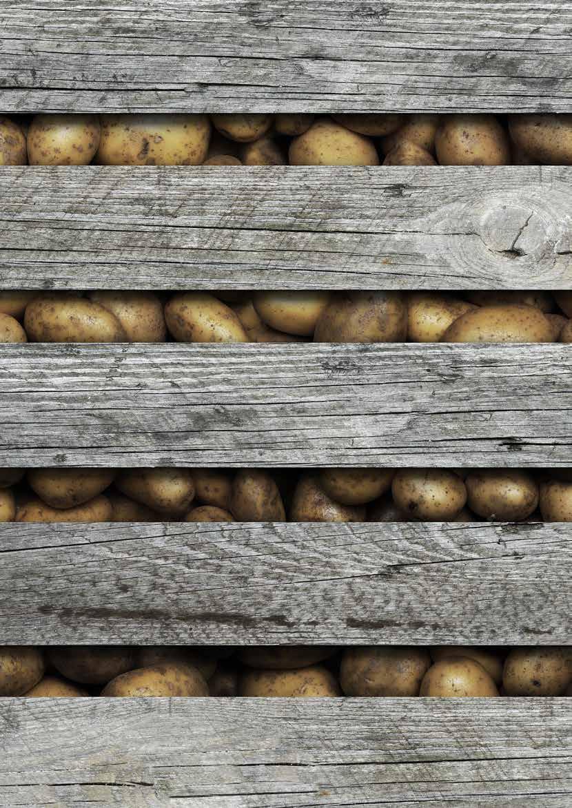 Norden - allt det goda från jorden. Norden är din ledande leverantör av potatis, lök och rotfrukter. Med högsta produktkvalitet levererar vi råvarorna till storkök, restauranger och dagligvaruhandeln.