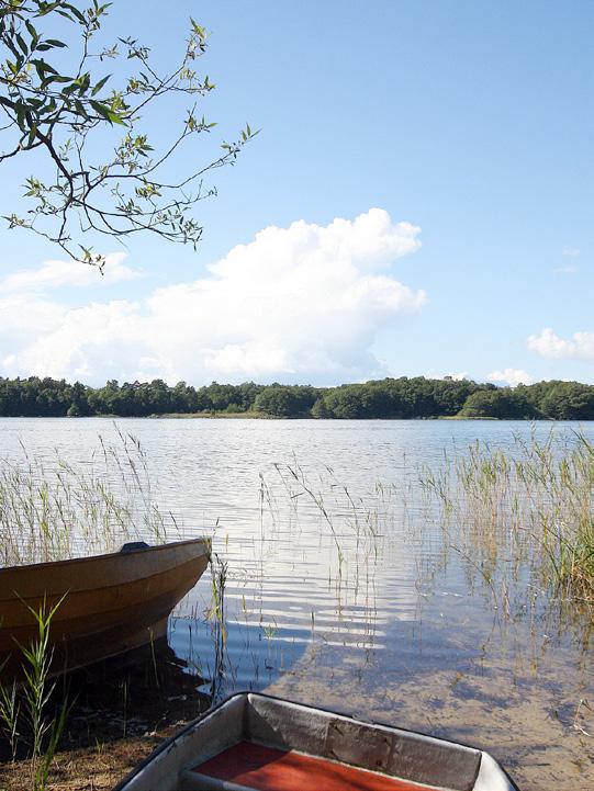 200 meter till Hornsjön där det går att både bada och fiska.