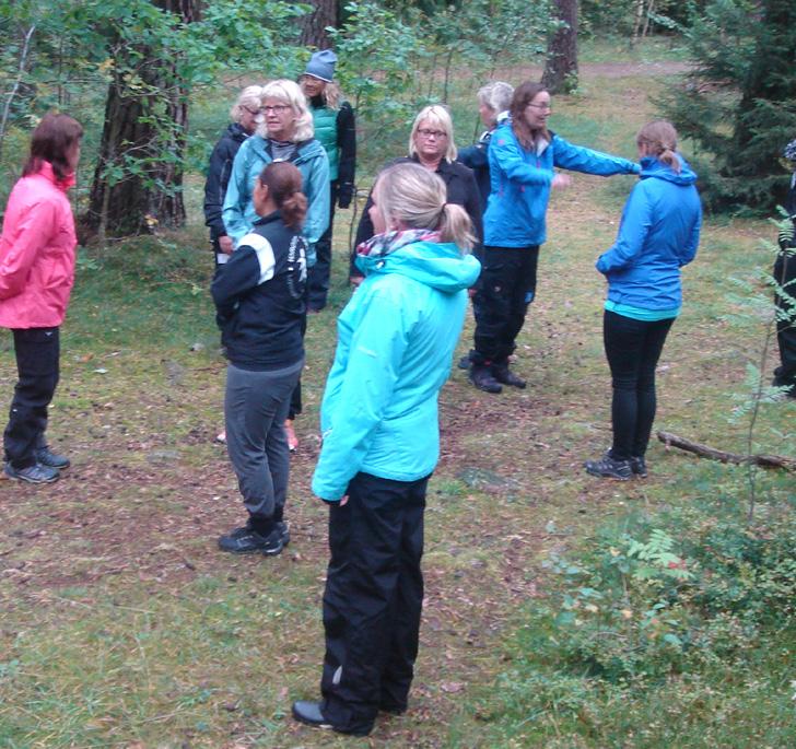 första hand, eller om de rekommenderas för skolledare, planerare och