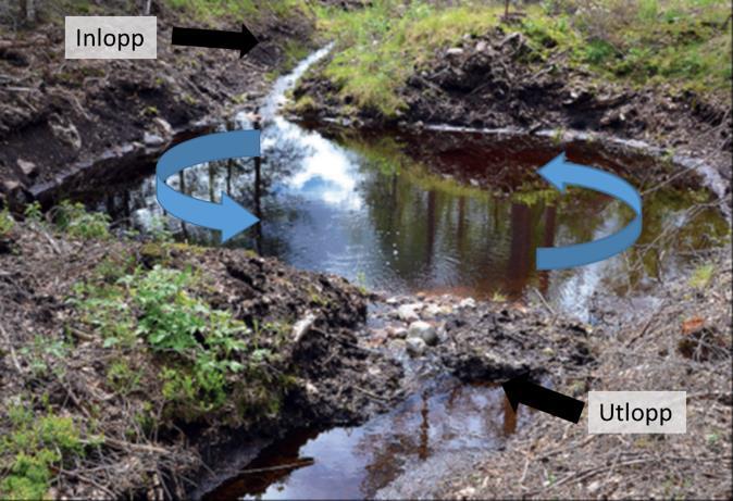 Figur 4. Sedimentationsbassäng samt dess in- och utlopp grävs innan själva rensningsåtgärden påbörjas. Bassängen grävs först och placeras vid sidan om ursprungligt dike.