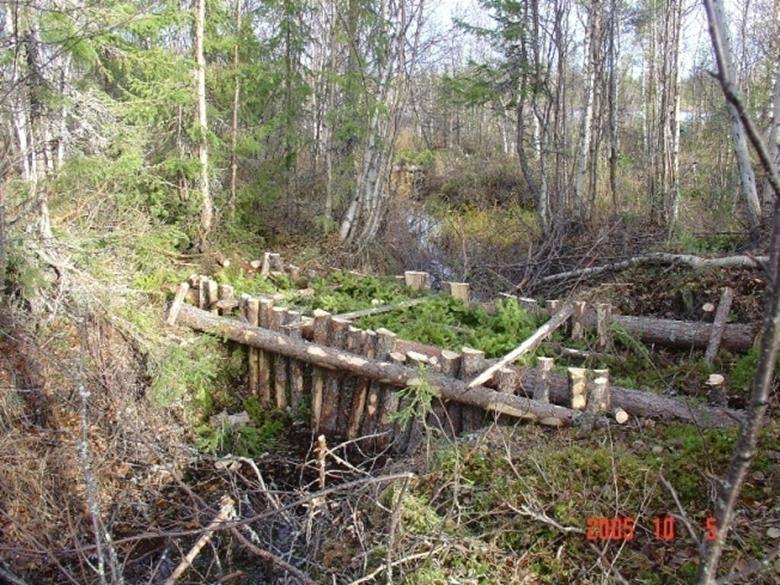 Figur 12. Exempel på dikespropp. Foto: Heine Krekula. Det finns några saker som är särskilt viktiga att tänka på om man vill täppa igen diken och återställa våtmarksområden.