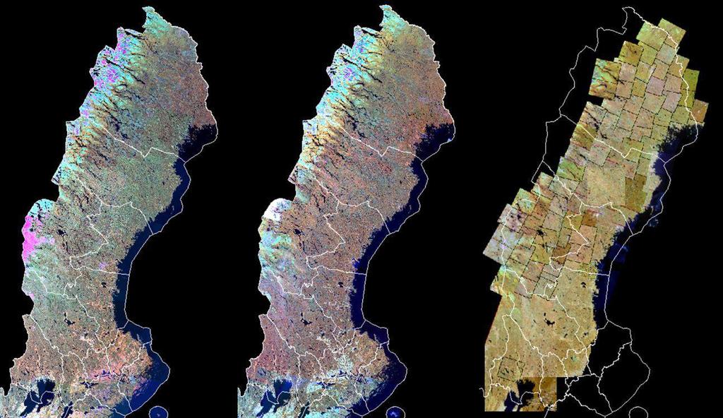 3.2.9 Övriga underlag Fjällnära gränsen inklusive enklaver 1. Denna gräns användes för att exkludera resultat ovan fjällnära gräns som inte bedömdes hålla tillräcklig kvalitet, se vidare Kapitel 3.3.6 Från vegetationskartan i Värmland, som baseras på en flygbildstolkning, finns ett skikt som anger skogsfas (bl.