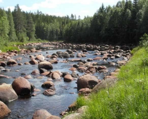 Ett syfte med projektet är att finna en strategi för vattenregleringen som motverkar massförekomst av översvämningsmygg vid t ex Dejeområdet. Arbeidspakke 2.