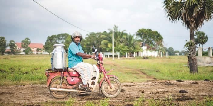 Det här är We Effect Det här har vi gjort 2015 Det här är resultatet Navaranjan Mylvakanam från Batticaloa på Sri Lanka är med i ett mjölkkooperativ.