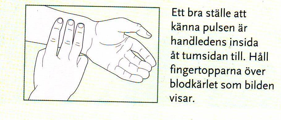 1. Vilken nytta har människan av pincettgreppet? Du behöver: Ett par skålar med ärtor eller andra små saker att flytta. Tidtagning.