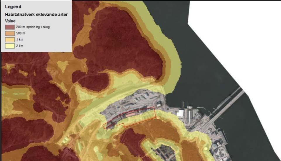 Sida 20 (58) Observera att plangränsen (röd linje) omfattar ett större område än Lilla Gasverket.