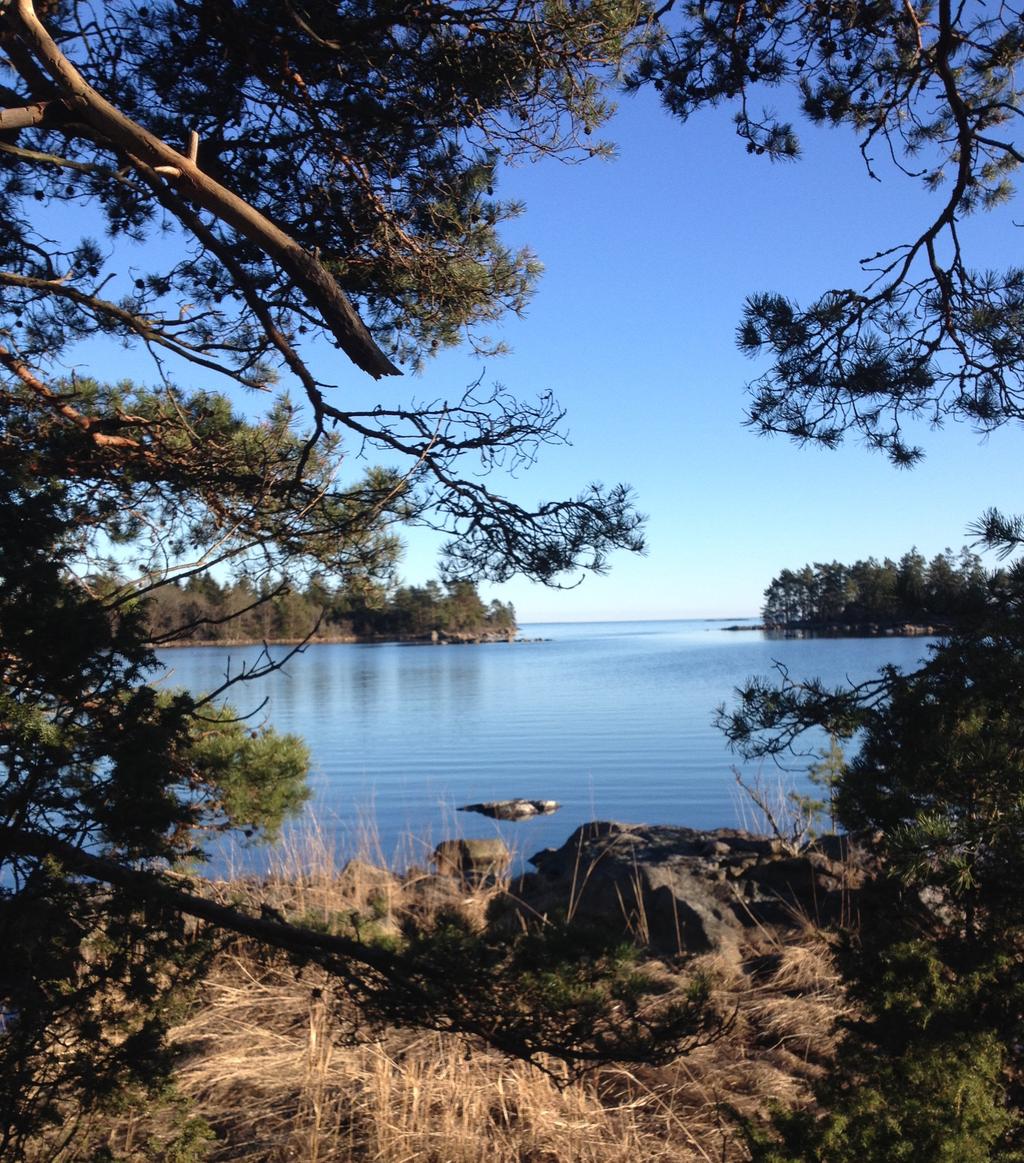 SAMRÅDSUNDERLAG JANUARI 017 PLANERAD STAMNÄTSFÖRBINDELSE MELLAN FASTLANDET OCH GOTLAND Underlag för samråd