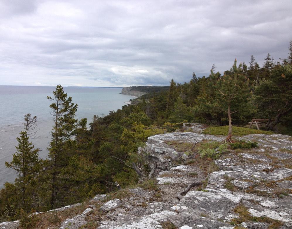 PLANERAD STAMNÄTSFÖRBINDELSE MELLAN FASTLANDET OCH GOTLAND 41 De magnetfält som alstras av transformator och elledningar inom stationsområdet är mycket begränsade och avtar snabbt med avståndet.