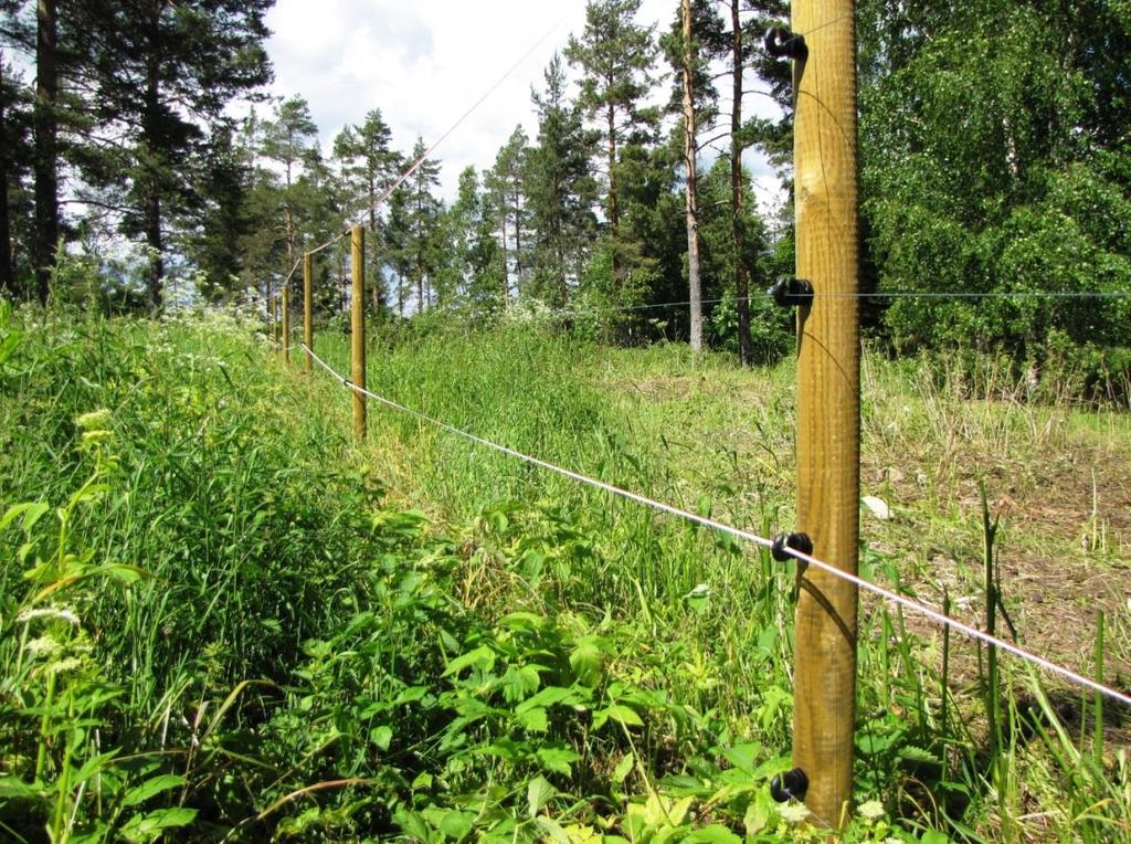 Förutse Förebyggande av skador på får Staten