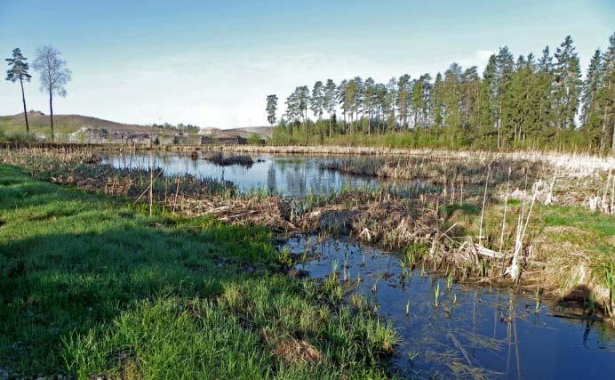 12 De golfbanor som har flest par är Upplands Bro Hof golf (180 par av 15 arter varav 100 skrattmås), Norrtälje golf (48 par av 9 arter) Lindö golf (Sormen) (39 par av 10 arter) och Svartinge