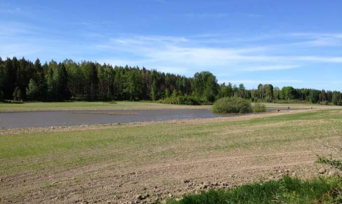 17 fåglar som drar upp antalet. Övriga vatten är ofta små. Här finns flera tätortsnära vatten. En orsak till det kan vara att det finns många gräsänder.