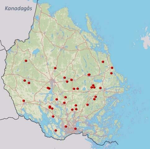 25 Kanadagås 56 par Kanadagåsen är enklare att inventera än andra gäss eftersom den i stor utsträckning uppträder med enstaka par i de anlagda vattnen.