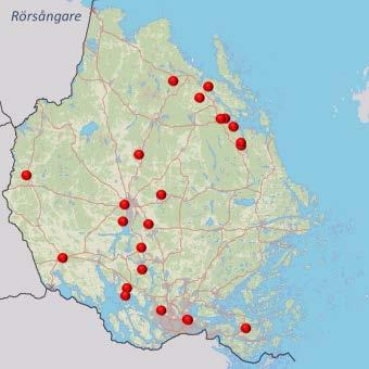 Sävsångaren anländer så sent att en del inte anlänt till det anlagda vattnet vid inventeringen, särskilt om inventeringen genomförs tidigt.