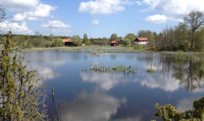 3 Syfte och bakgrund Det uppländska landskapet har genomgått stora förändringar genom utdikning av våtmarker och sänkning av sjöar. Det finns nästan inget vatten som inte har reglerats.