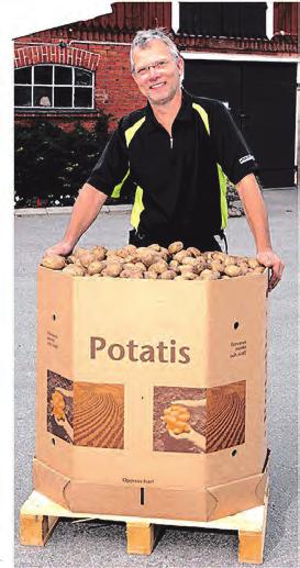 Som Grodden skrev om för ett år sedan har Lantmännen tillsammans med gotländska odlare arbetat för att få fram durumvete i stor skala i Sverige.