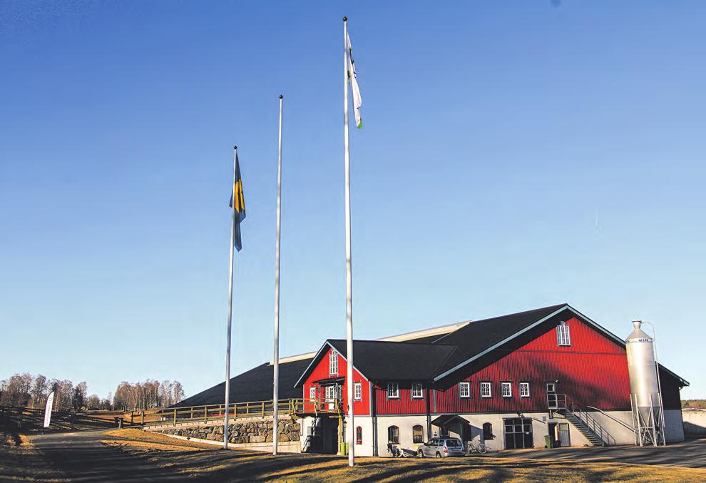 delning ändå, eftersom vi verkligen tror på affären, konstaterade Ulf Zenk och Hans Wallemyr fyllde i: Vi tog beslut i det Ägarforum som hölls 2008 att skilja på affärerna från Lantbruk, Maskin och
