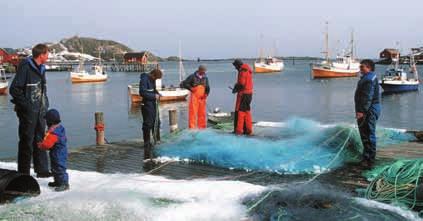 saami Rată a analfabetismului sub 1% La marginea Europei, cu faţa către centru Comunitatea saami are un mod de viaţă tradiţional în Finnmark, departe către nord.