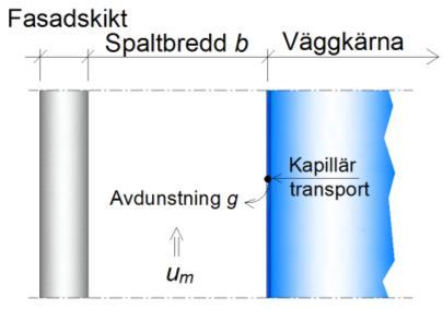 Beräkningar av konvektiv fukttransport Två olika uttorkningsfaser Fas 2 Diffusion genom torrt skikt Fas 1