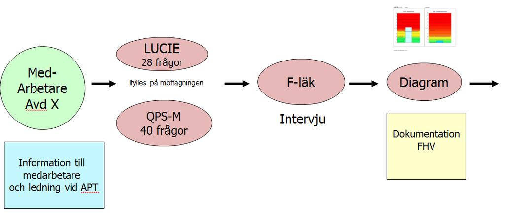 Information till arbetsgrupp och chefer vid en arbetsplatsträff Screening med LUCIE och QPS- Mismatch Intervju Dokumentation av LUCIE och QPS-Mismatch-resultat Individuell återkoppling av LUCIE och