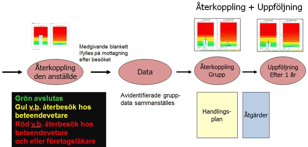 insatser på individnivå Framtagande av handlingsplan Genomförande av handlingsplan Uppföljning efter 1 år Intervjudata vid projektets start (2014) Intervjuerna 2014 visade visserligen att