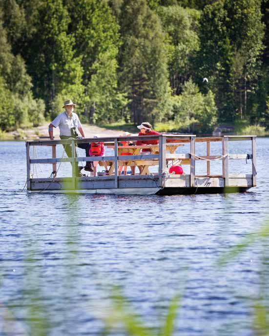 Grums Fish n Camp Grums Fish n Camp vid Sävsjön är en lugn familjecamping i naturskön kulturbygd i södra Värmland.