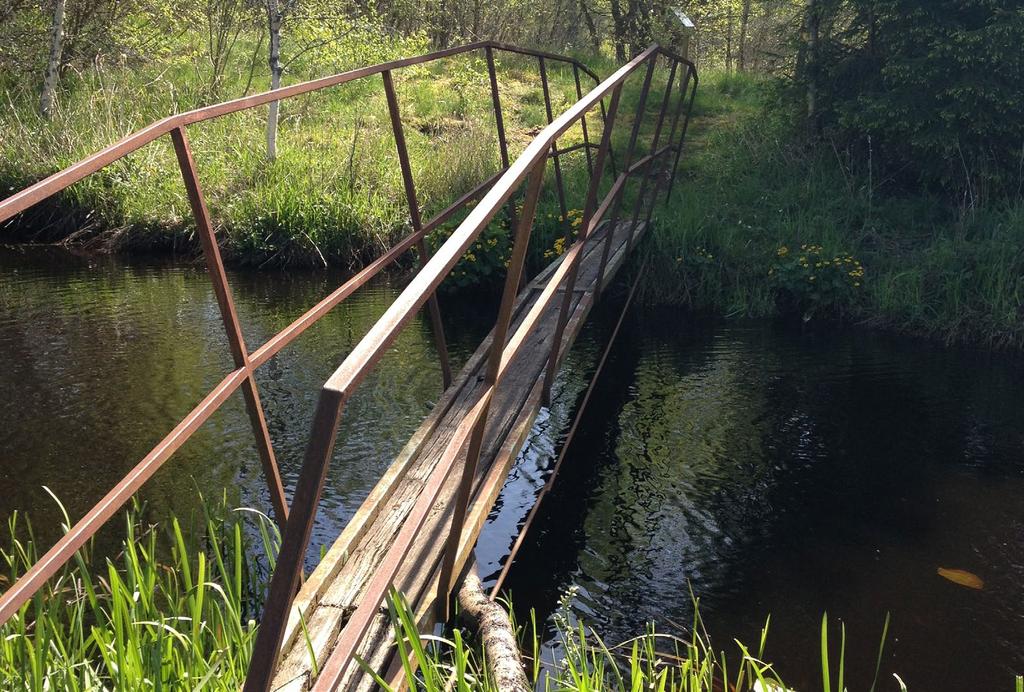 HÄNG MED UT I KRONOBERGS FANTASTISKA NATUR! Foto: Karin Jonsson Du behöver inte åka långt för att uppleva enastående miljöer.